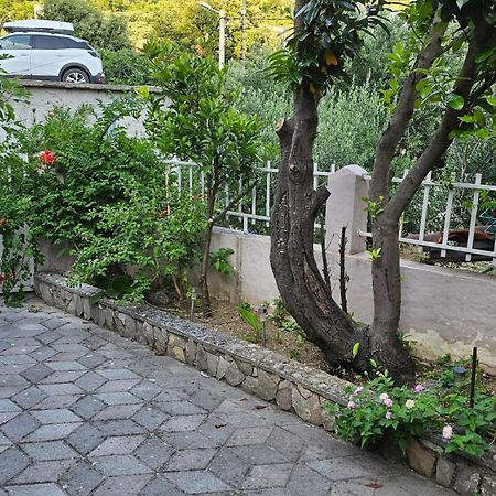 Studios Dolcek Krvavica Dış mekan fotoğraf