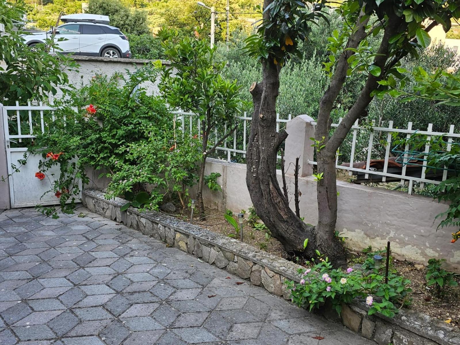 Studios Dolcek Krvavica Dış mekan fotoğraf