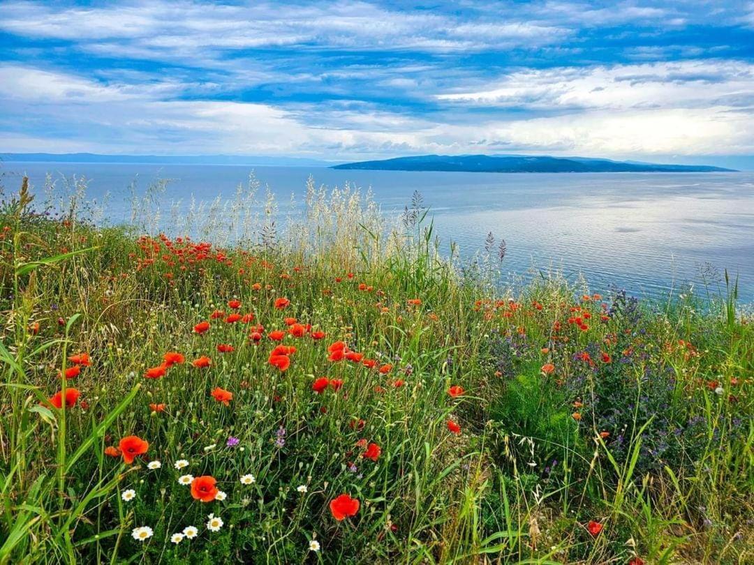 Studios Dolcek Krvavica Dış mekan fotoğraf